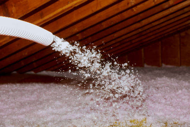 Types of Insulation We Offer in Anoka, MN