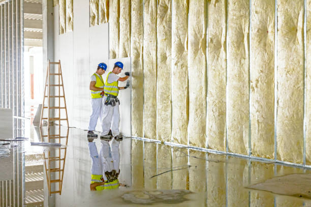 Eco-Friendly or Green Insulation Solutions in Anoka, MN